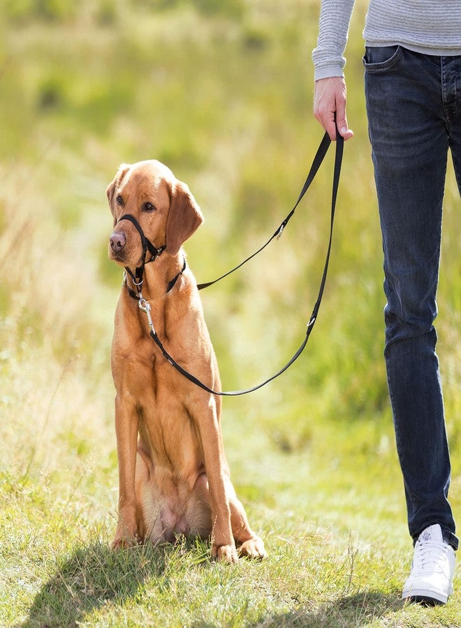 تريكسي حزام تدريب الكلاب تريكسي توب ترينر، أسود - Image 3